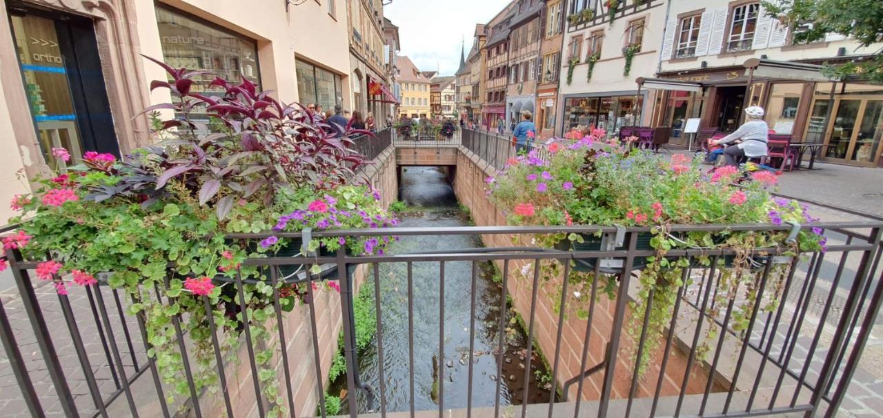 Evasion St Joseph Odysalis - Lit King Size - Parking - Proche Centre Daire Colmar Dış mekan fotoğraf